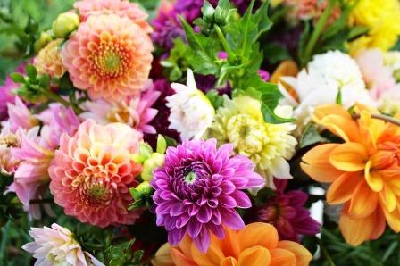 An arrangement of brightly colored flowers