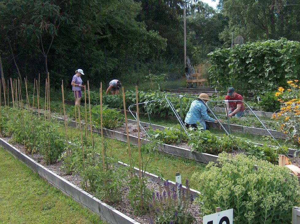 Emmanuel Community Farm