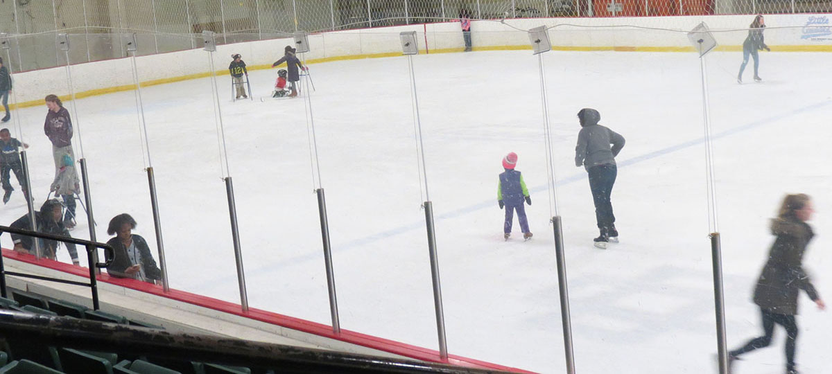 Southfield Sports Arena Ice Rink