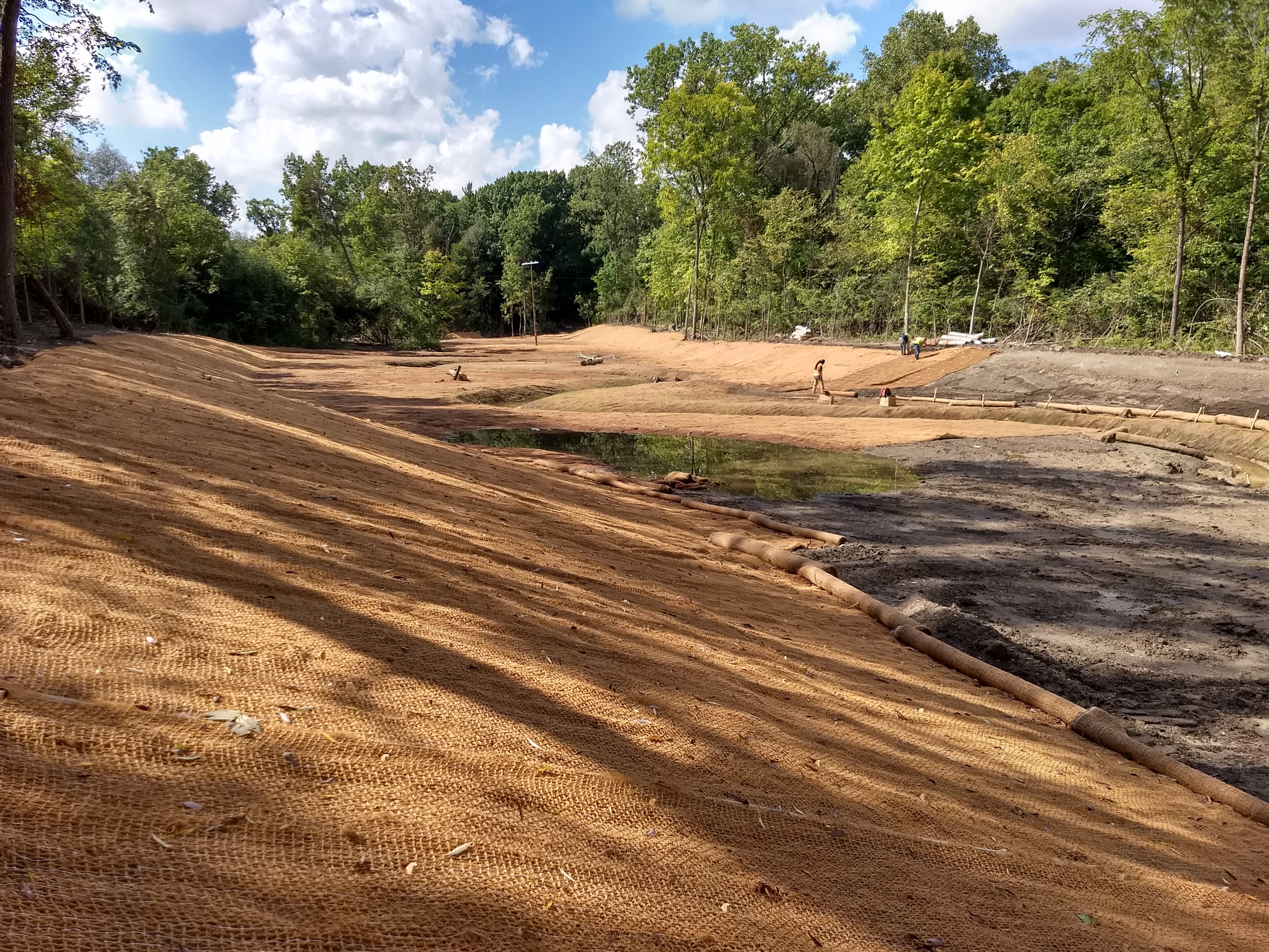 Tamarack Creek Stream & Wetland Habitat Restoration Project River2