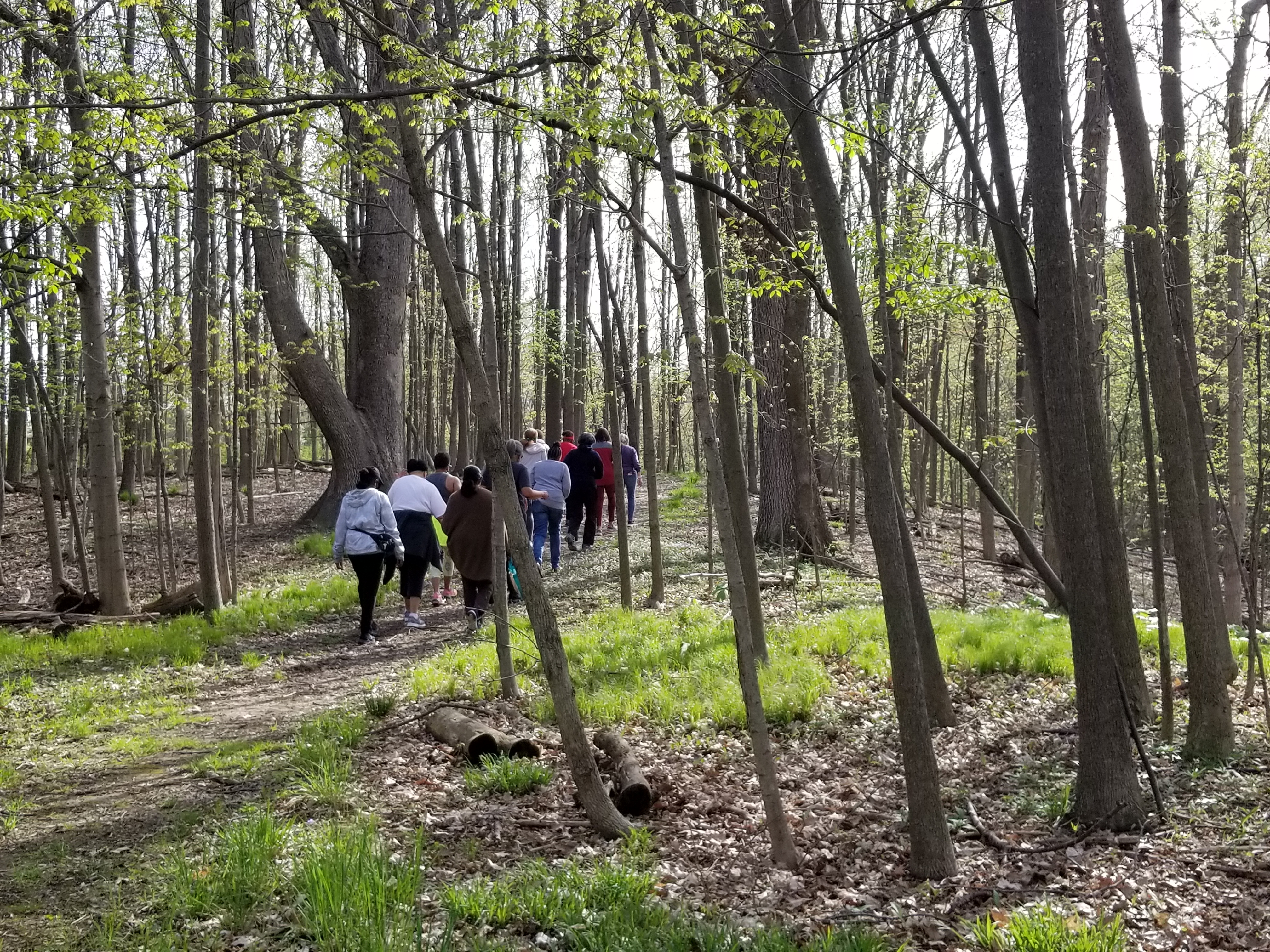 Berberian Woods Nature Preserve
