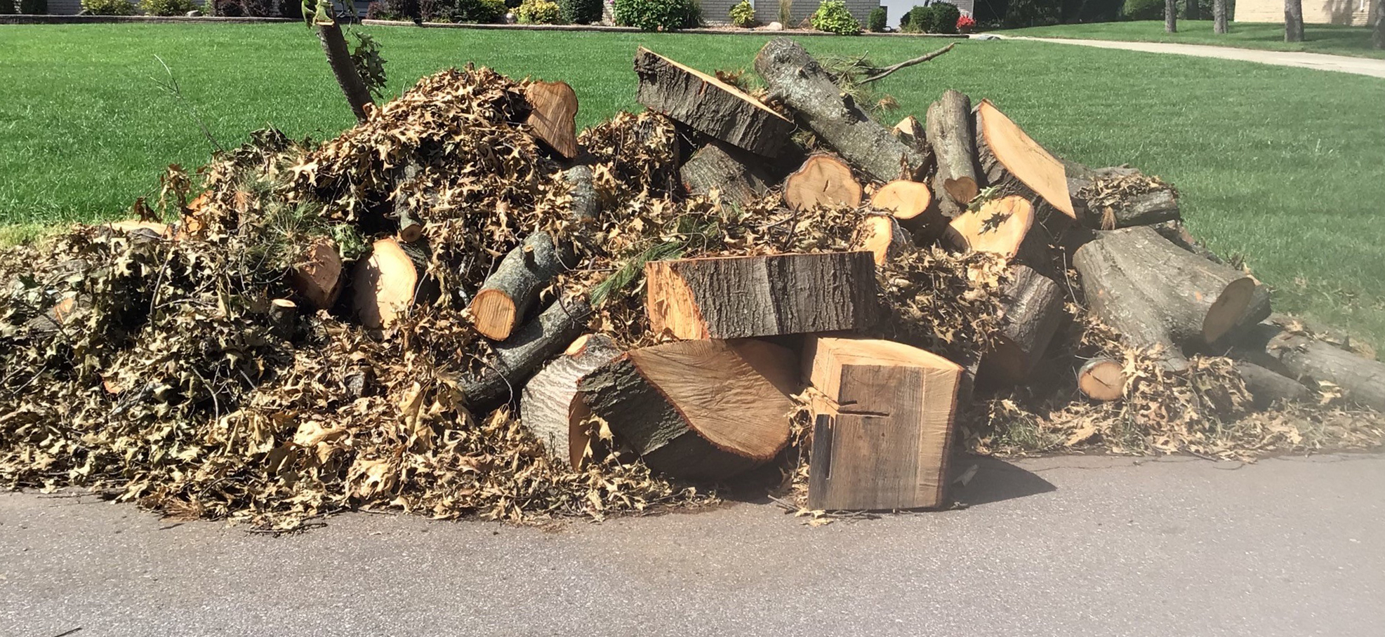 yard waste
