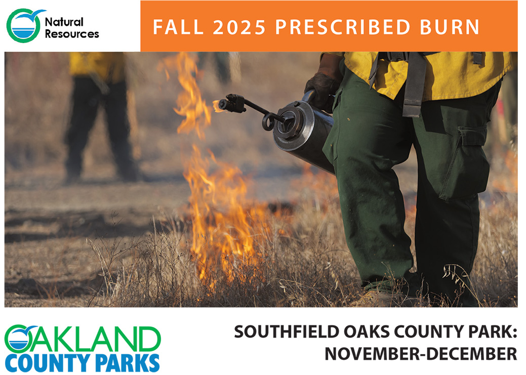 graphic from Oakland County Park Concerning Prescribed Burn Program