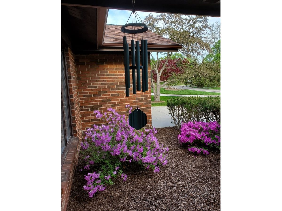 Entry Image