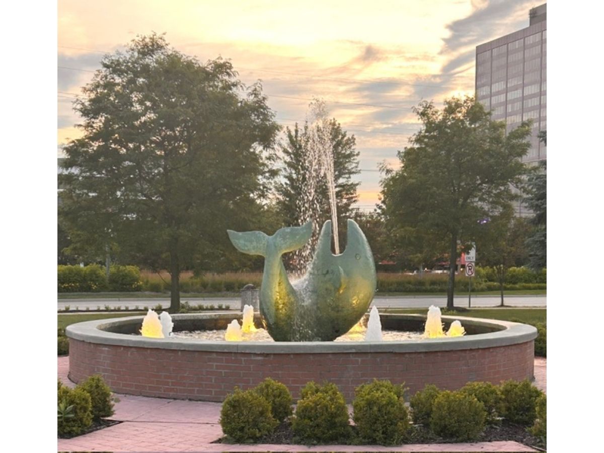 Entry Image