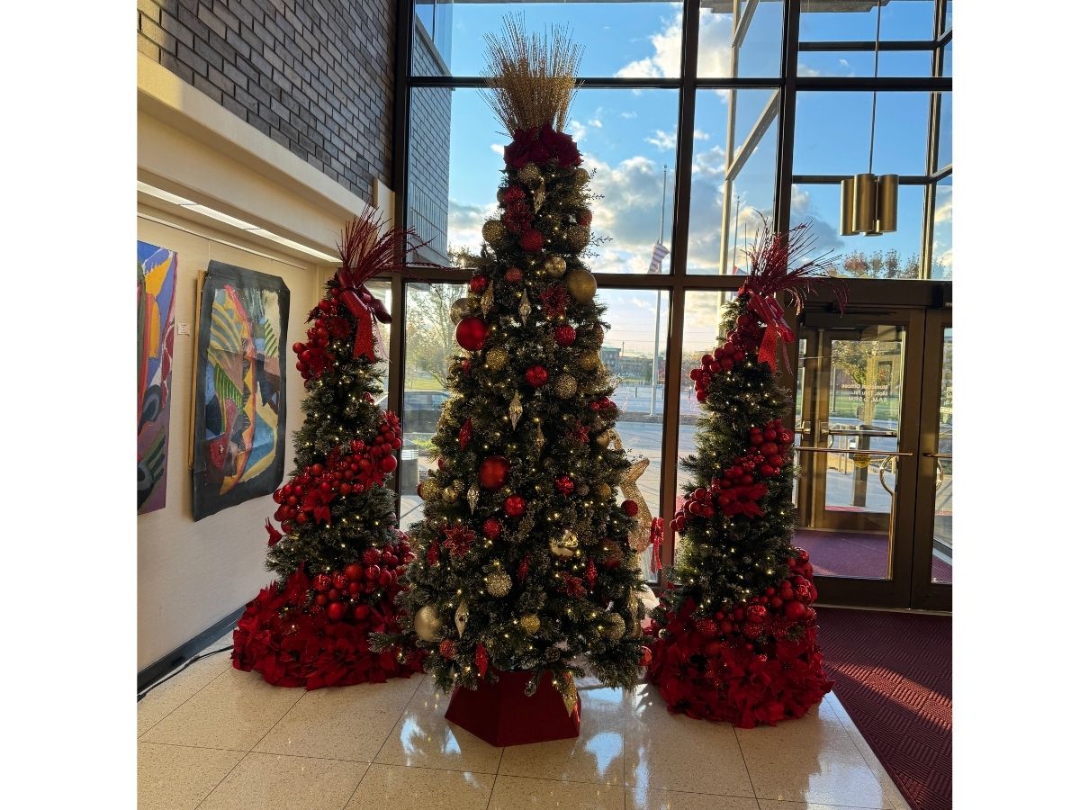 Entry Image