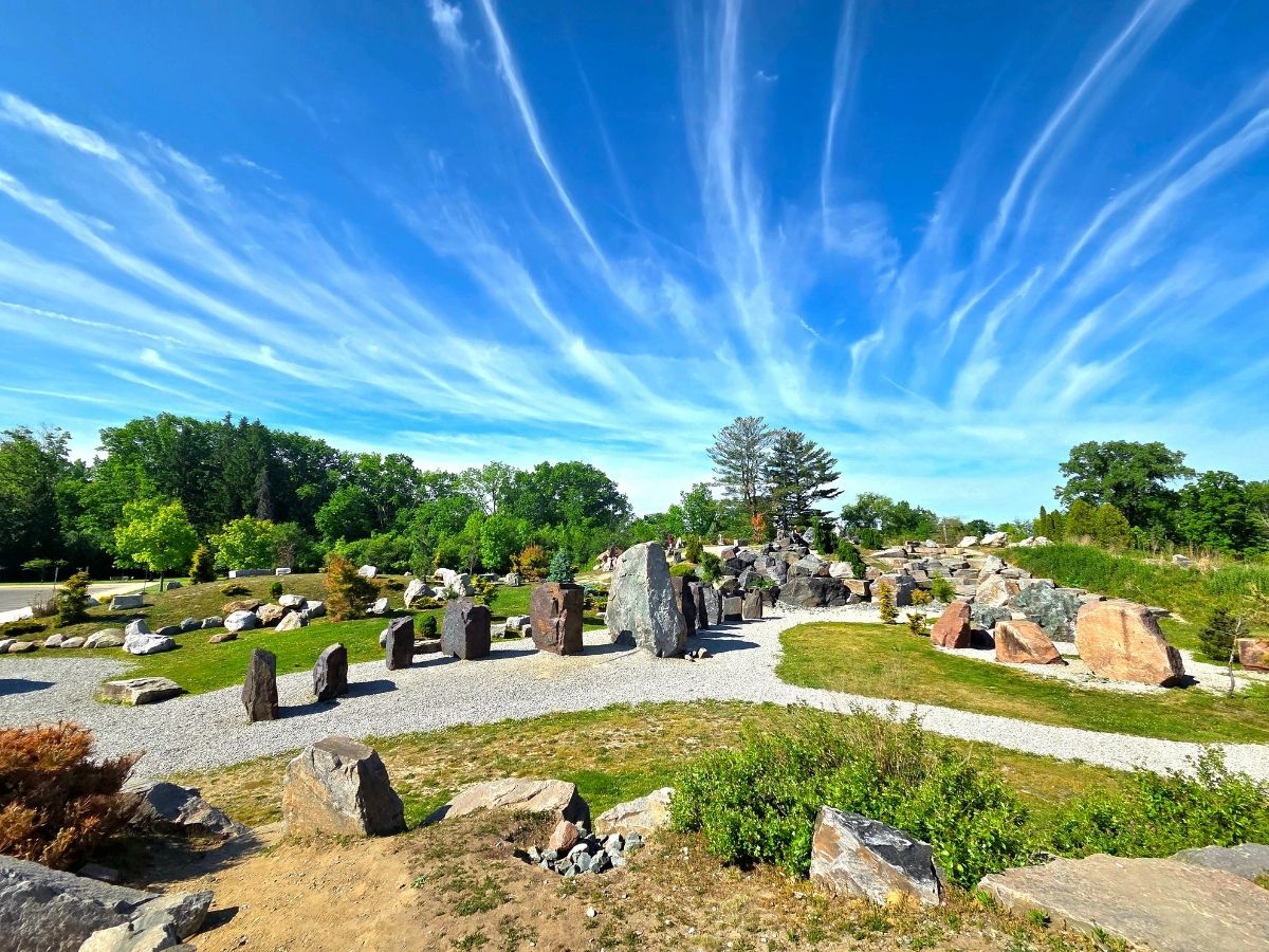 Entry Image
