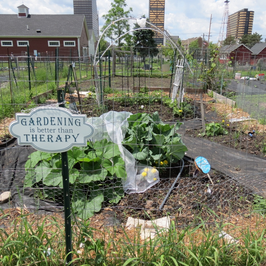Mary Thompson Farm 