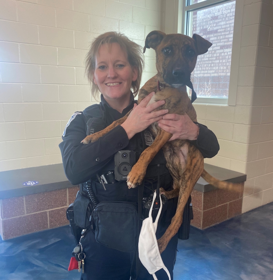 Animal Control | City of Southfield Animal Control | City of Southfield