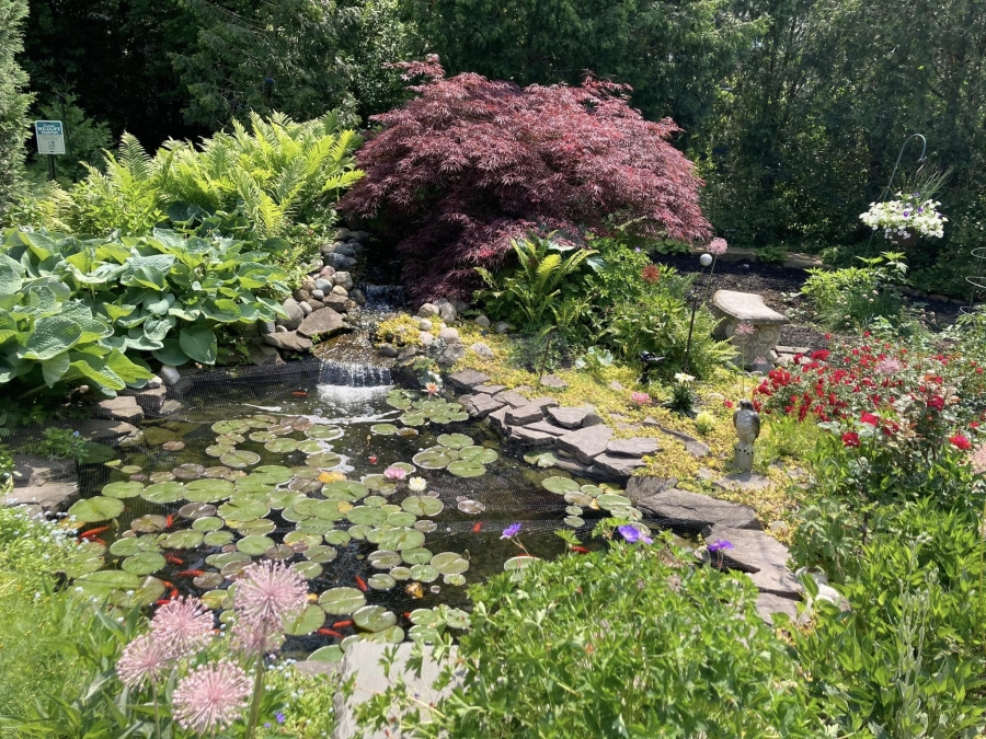 garden