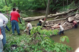 Group of people cleaning up Rouge River