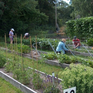 Emmanuel Community Farm