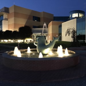 Library fountain