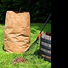 yard waste collection