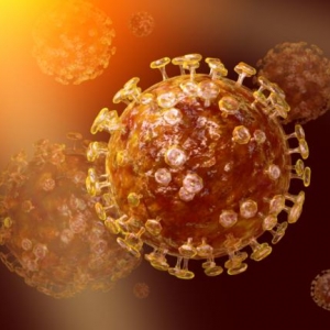 COVID-19 Coronavirus 