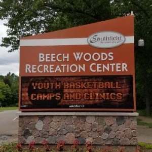 Beech Woods