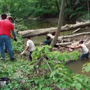 Rouge River Cleanup