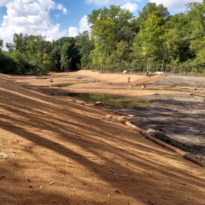 Tamarack Creek Stream and Wetland Restoration Project