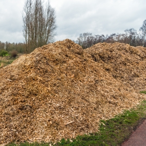 woodchips