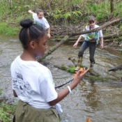 Rouge River Cleanup