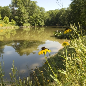 Carpenter Lake