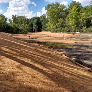 Tamarack Restoration Project