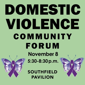 Domestic Violence Forum