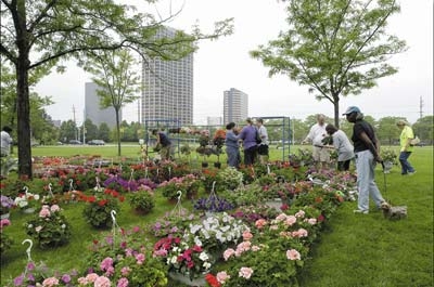 People Picking Flowers