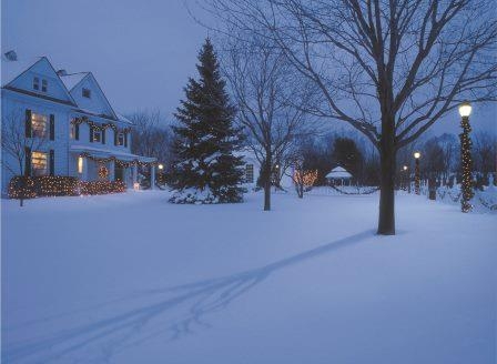 Snow covered suburban street