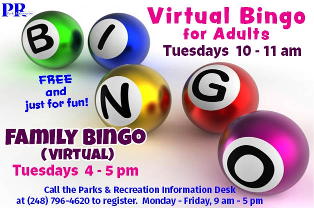 Virtual Bingo for All Ages