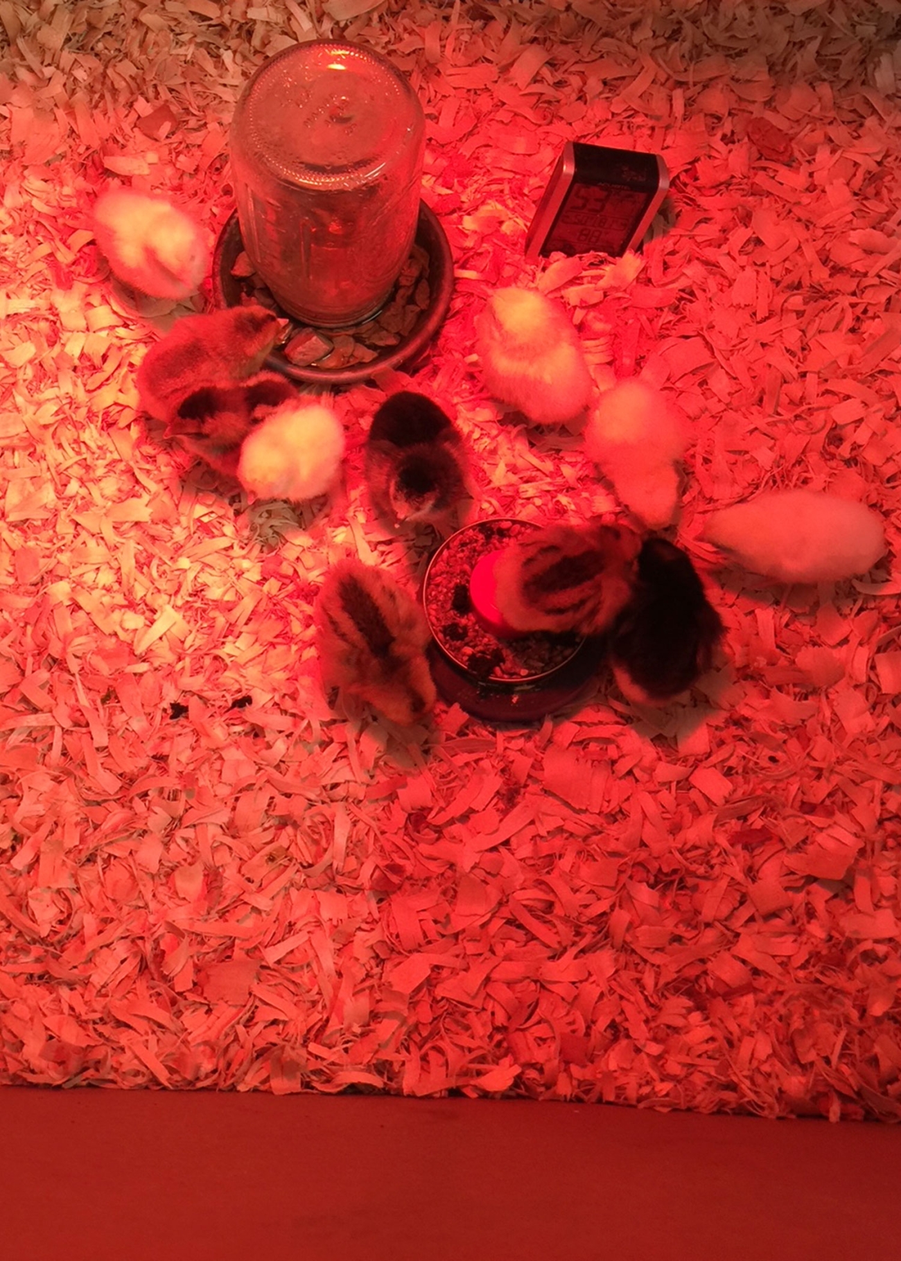 Farmbrook Grows