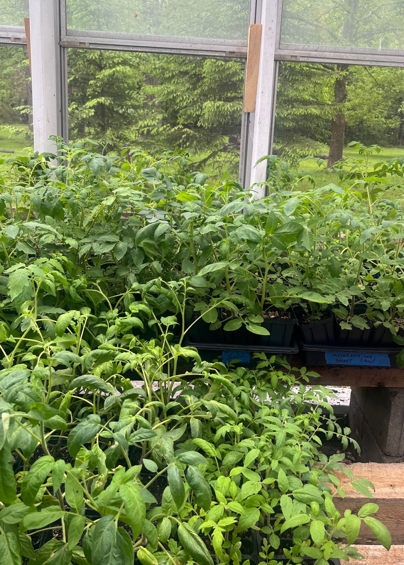 Farmbrook Grows