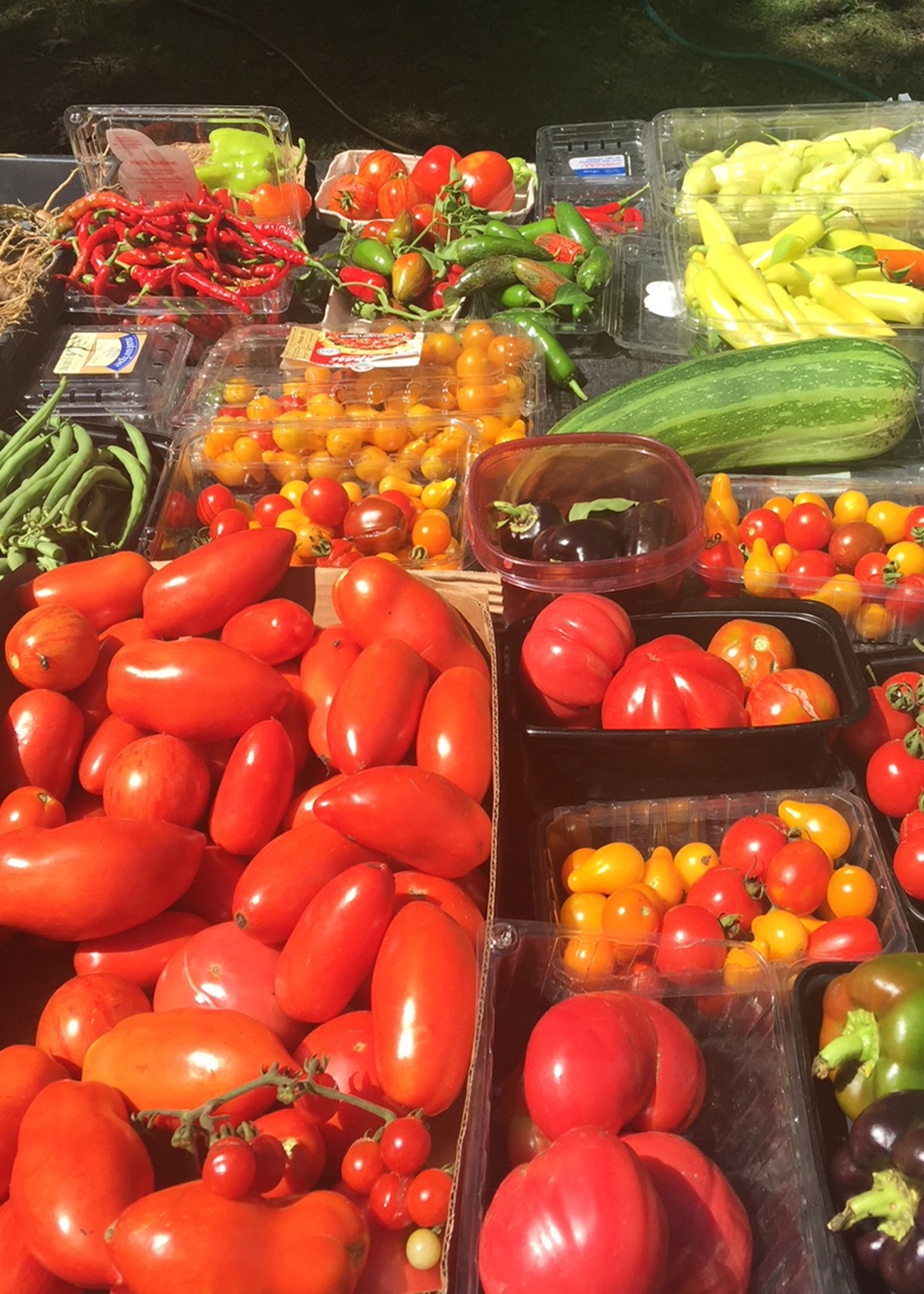 Farmbrook Grows