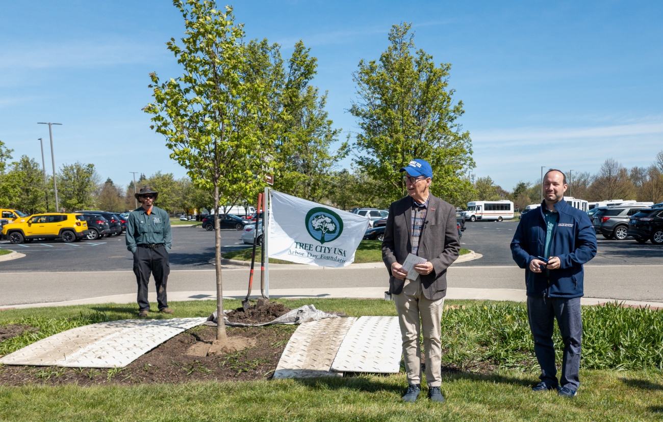 Arbor Day